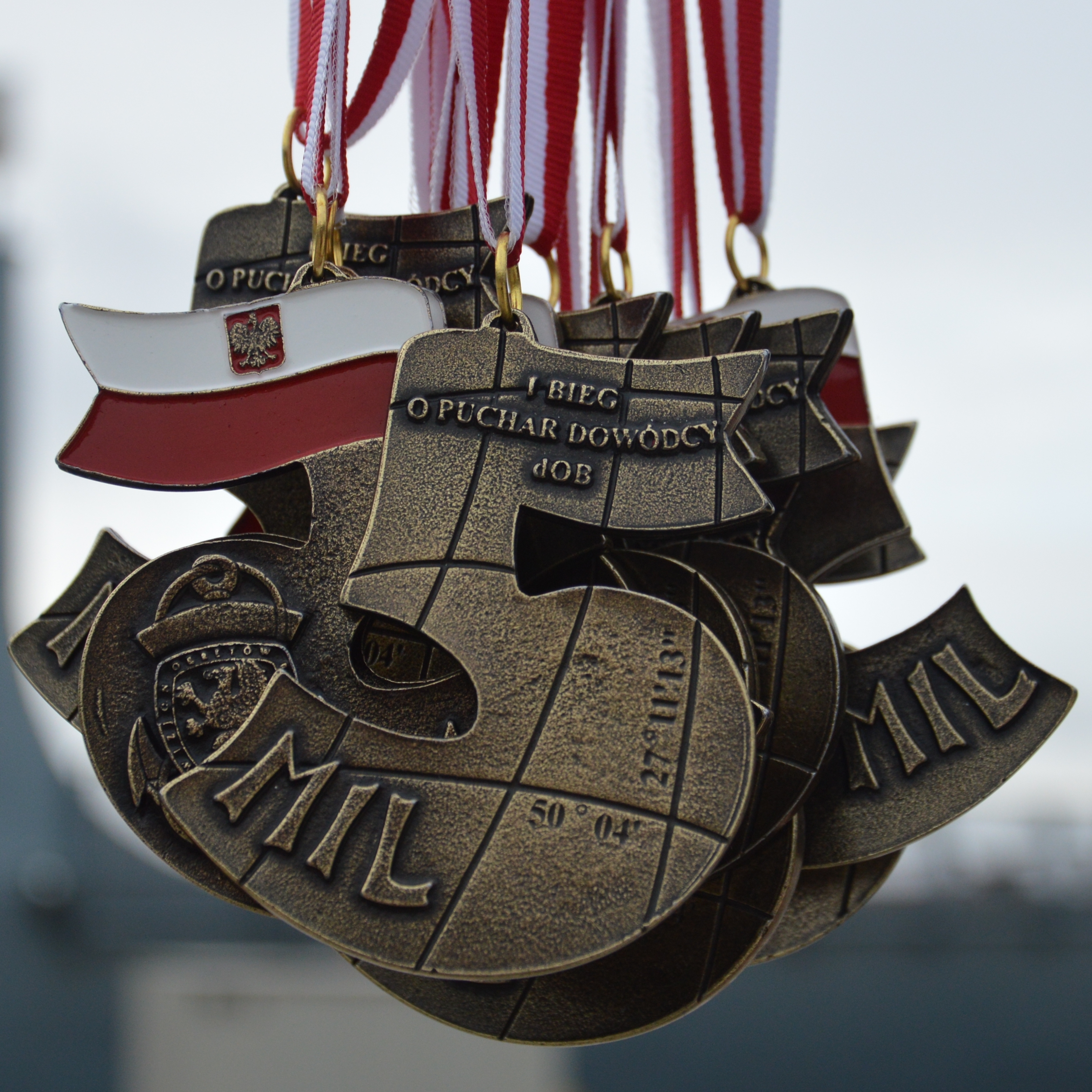 medal2013
